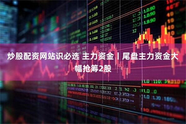 炒股配资网站识必选 主力资金丨尾盘主力资金大幅抢筹2股
